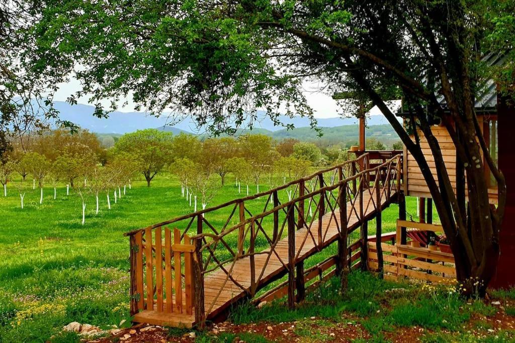 The Treehouse Of The Dragon Apartment Ioannina Exterior foto